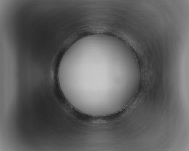 X0000102810258200808180959