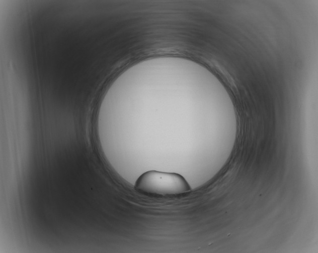 X0000102810260200808180959