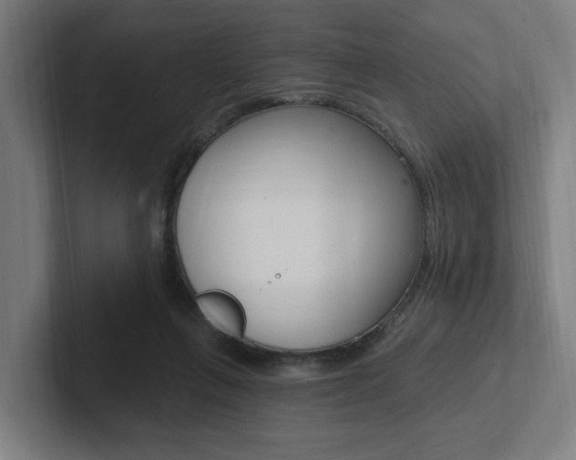 X0000102810263200808180959