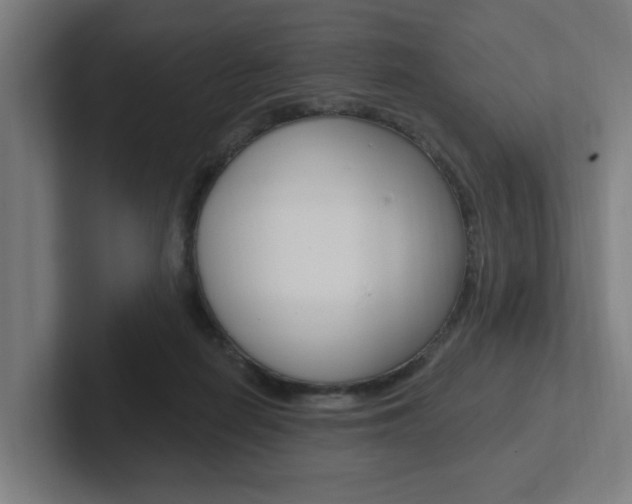 X0000102810266200808180959