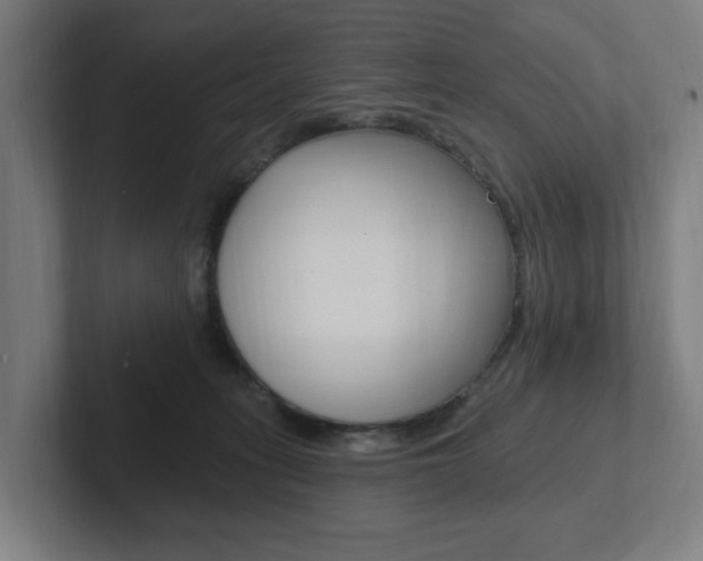 X0000102810275200808180959