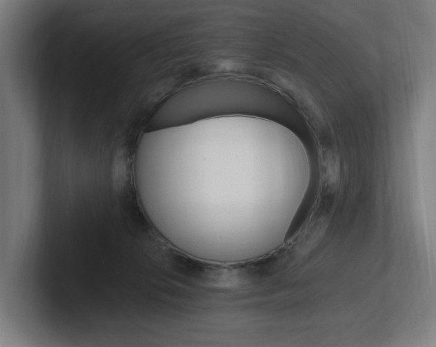 X0000102810276200808180959