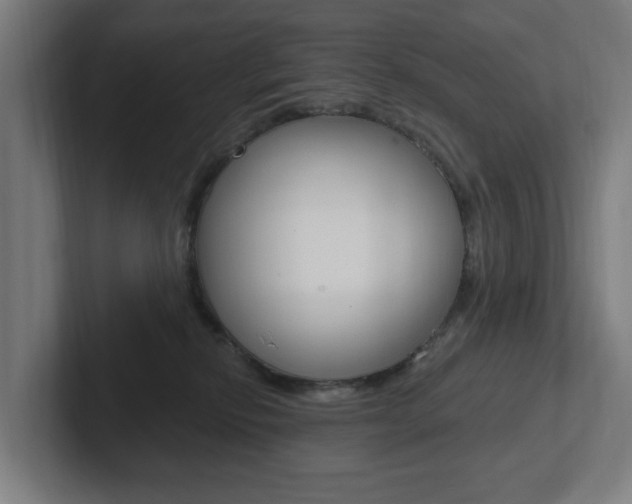 X0000102810278200808180959