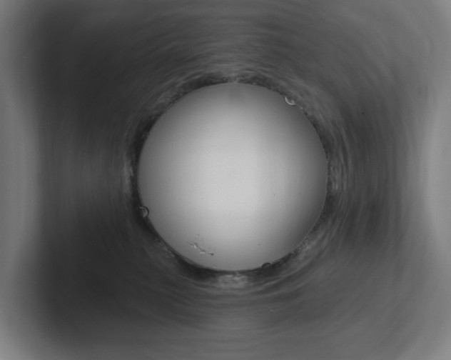 X0000102810279200808180959