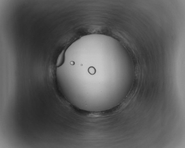 X0000102810280200808180959