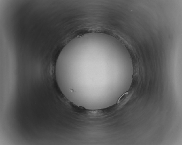 X0000102810281200808180959