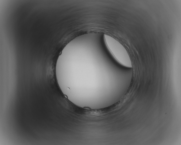 X0000102810282200808180959