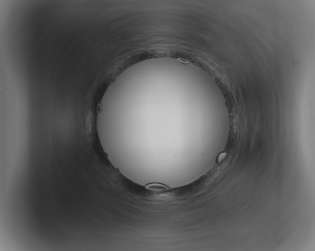 X0000102810283200808180959