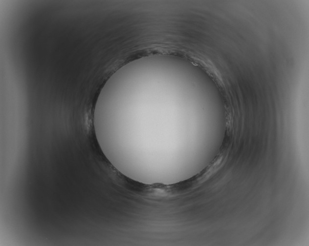 X0000102810285200808180959