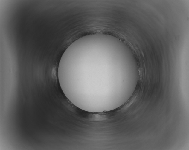 X0000102810286200808180959