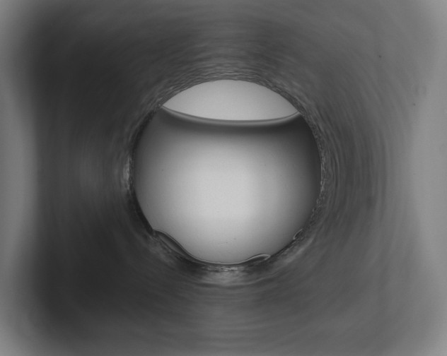 X0000102810288200808180959