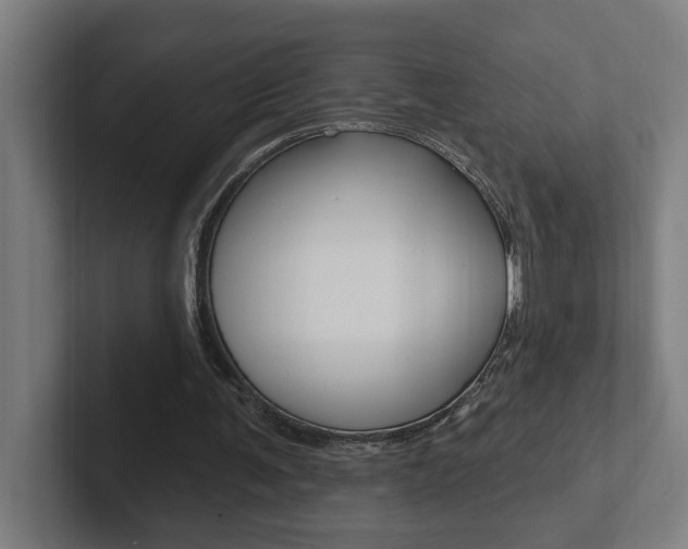 X0000102810291200808180958