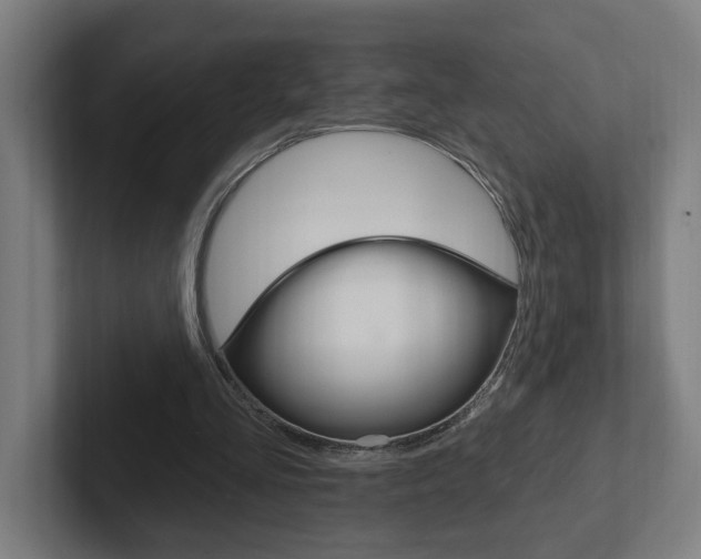 X0000102810293200808180958