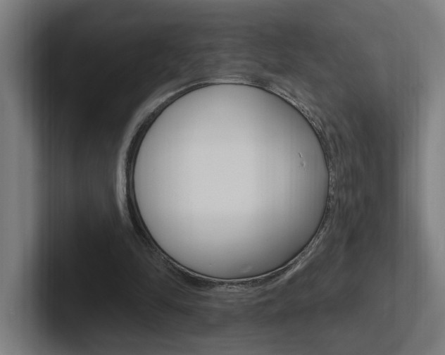 X0000102810294200808180958