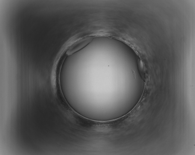 X0000102810296200808180958