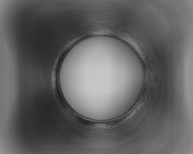 X0000102810298200808180958