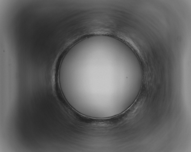 X0000102810299200808180958