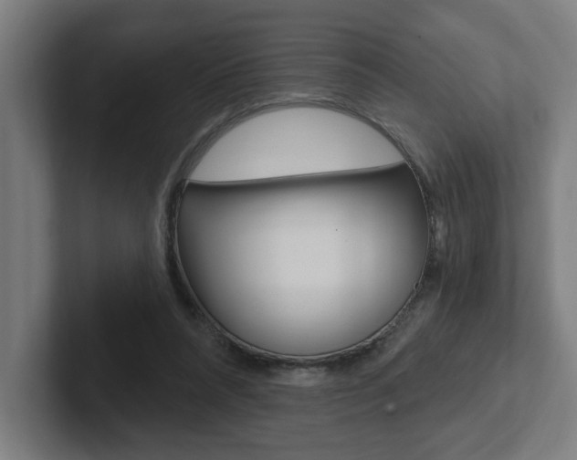 X0000102810304200808180958