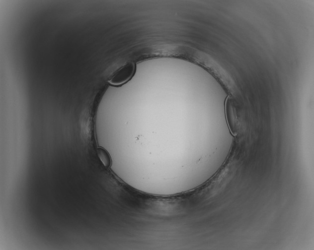 X0000102810305200808180958