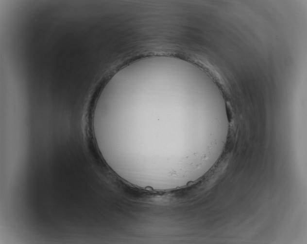 X0000102810306200808180958