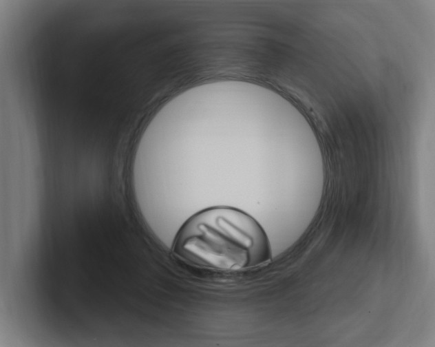 X0000102810308200808180958