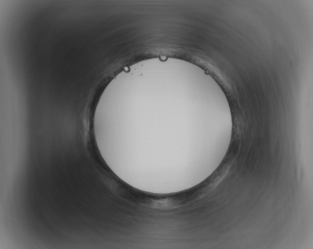 X0000102810309200808180958