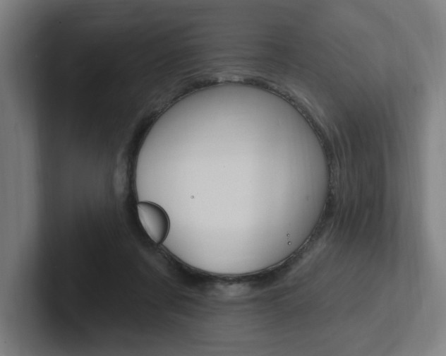 X0000102810311200808180958