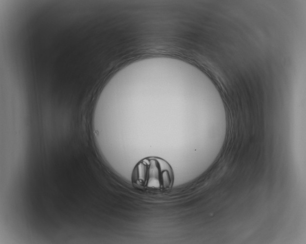 X0000102810312200808180958