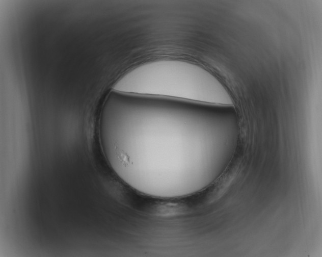 X0000102810315200808180958