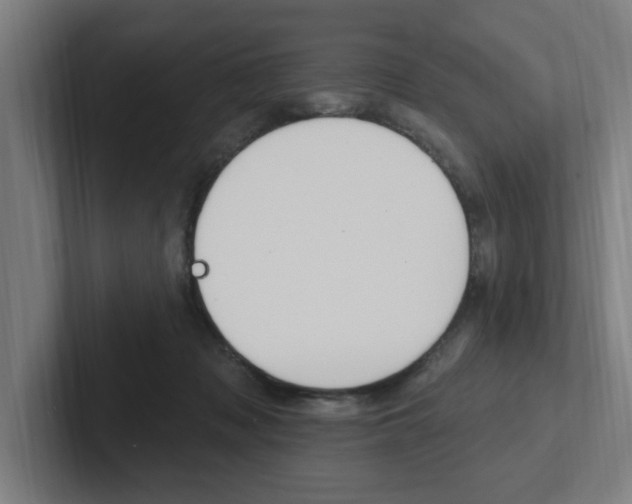 X0000102810317200808180958