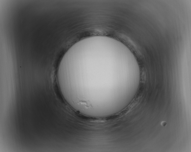 X0000102810318200808180958