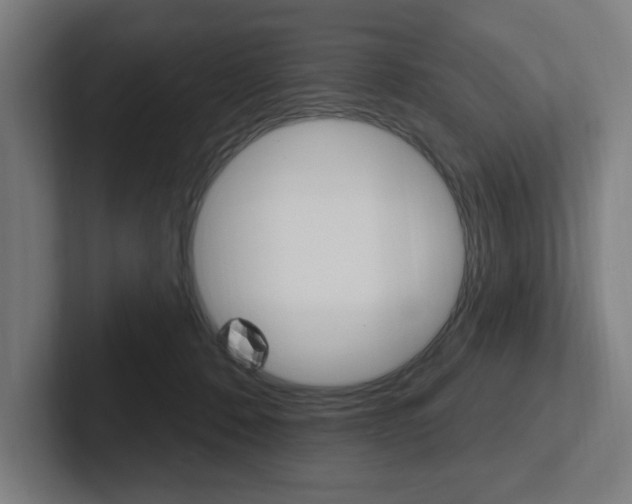 X0000102810320200808180958