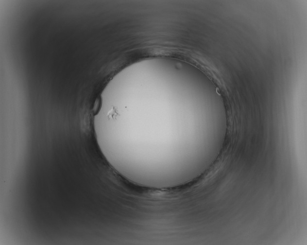 X0000102810325200808180958