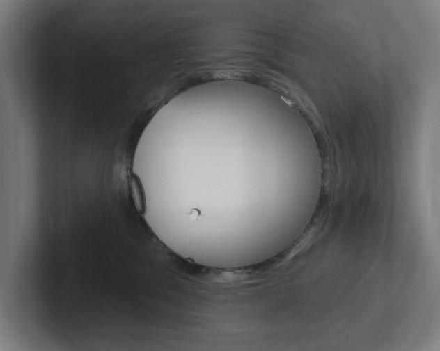 X0000102810329200808180958