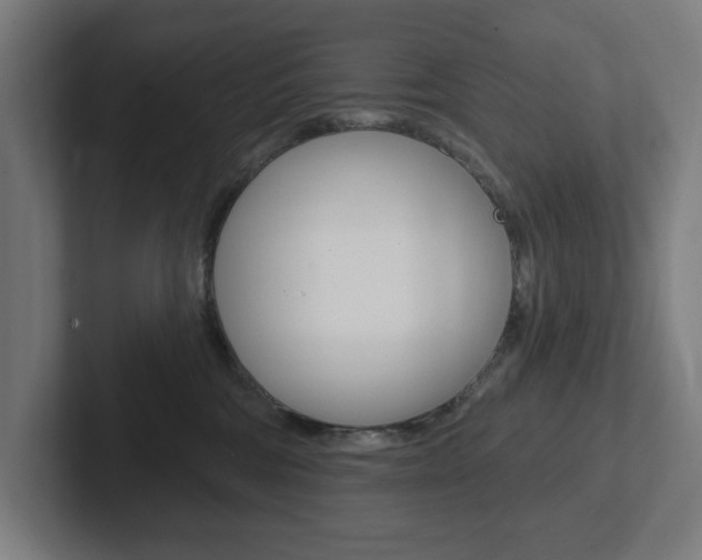 X0000102810330200808180958