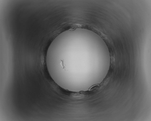 X0000102810331200808180958