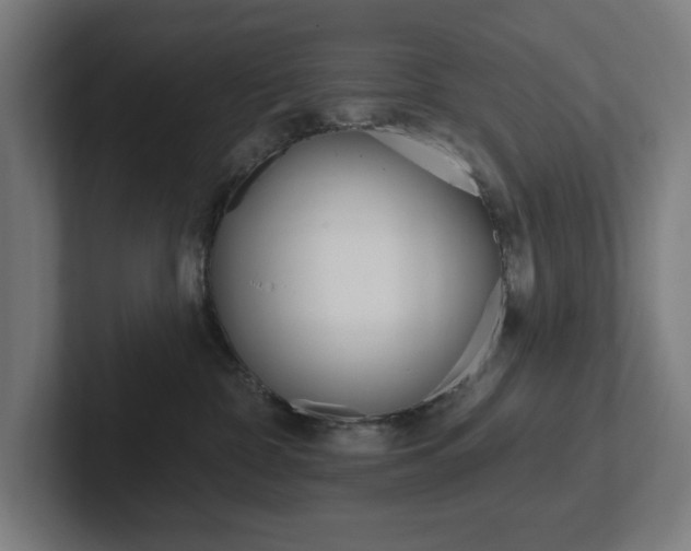 X0000102810332200808180958