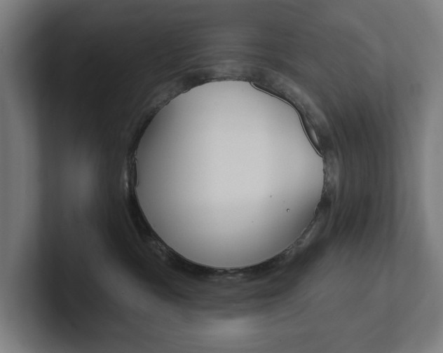 X0000102810333200808180958