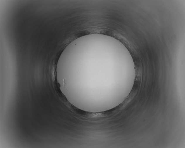 X0000102810334200808180958