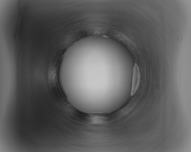 X0000102810336200808180958