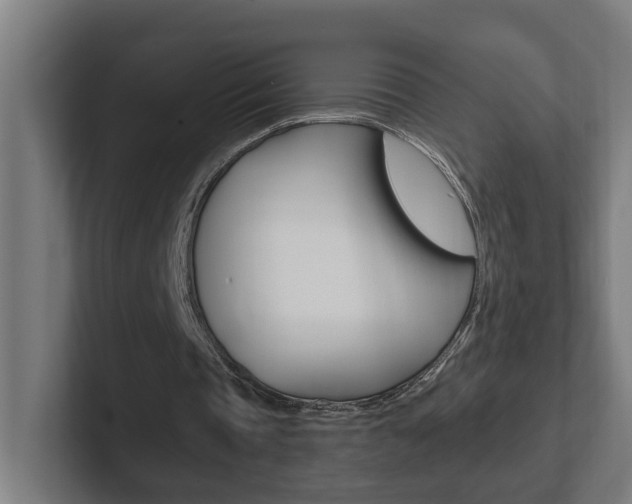 X0000102810337200808180957