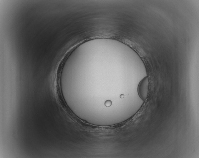 X0000102810338200808180957