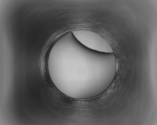 X0000102810339200808180957