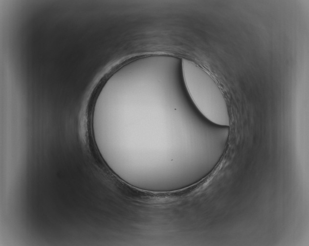 X0000102810342200808180957