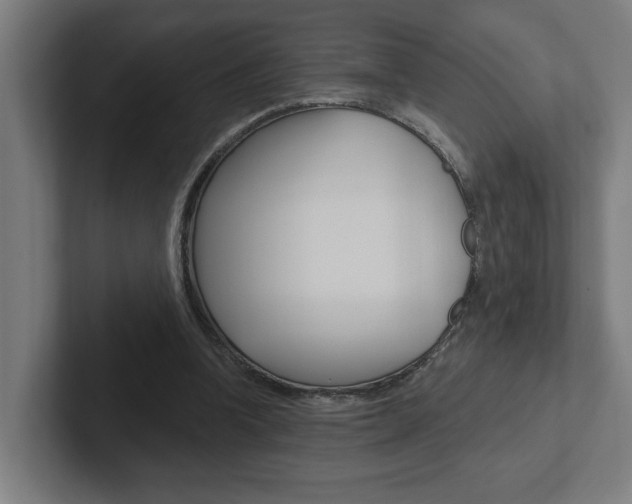 X0000102810346200808180957