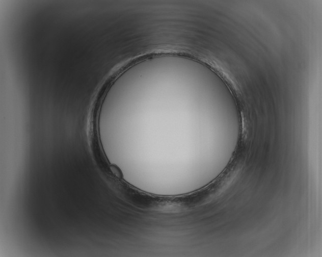 X0000102810348200808180957