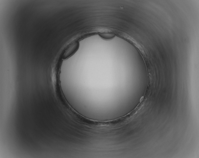 X0000102810350200808180957