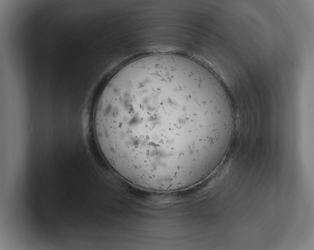 X0000102810351200808180957