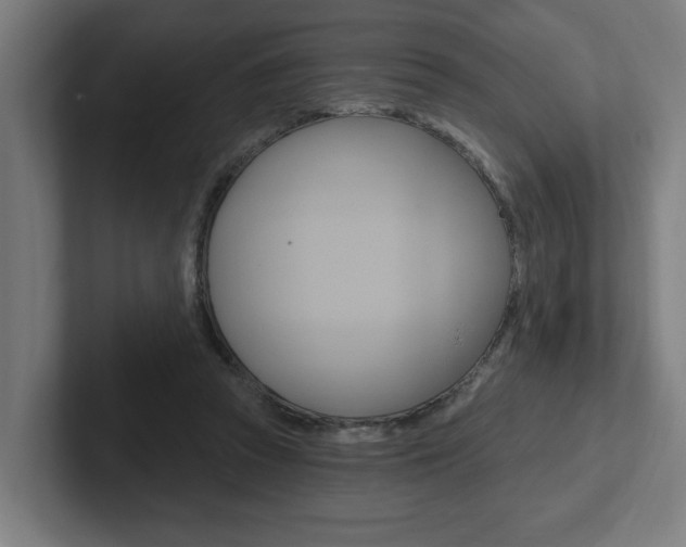 X0000102810353200808180957