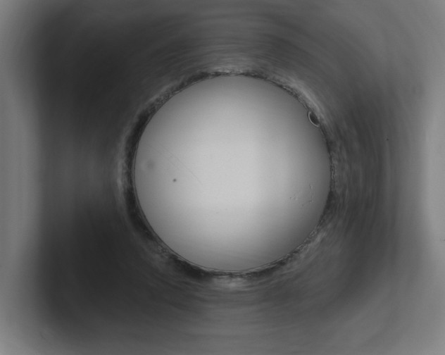 X0000102810354200808180957